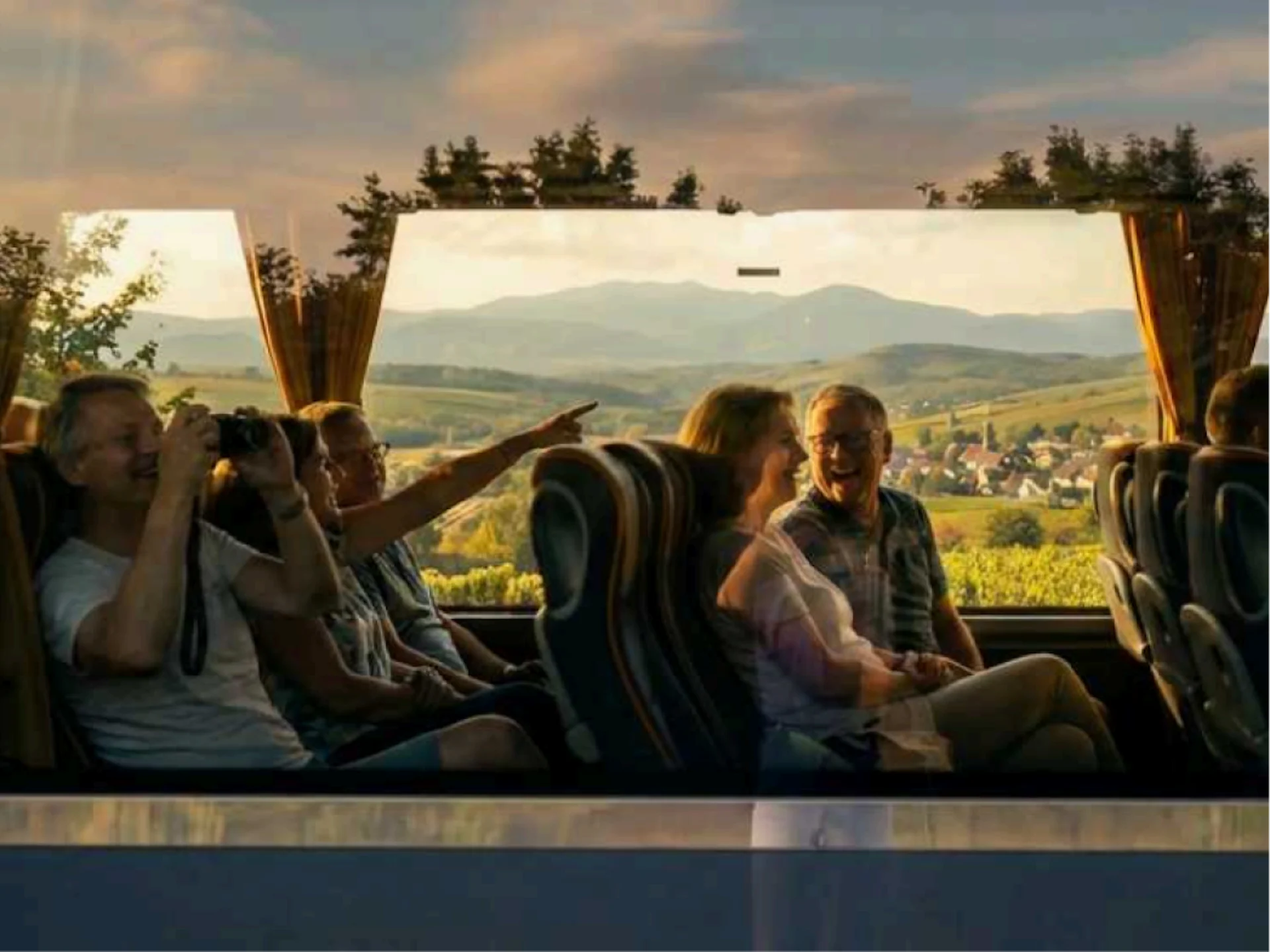 Experience the view